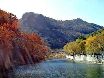 正版澳门天天开彩大全，莱芜市委书记